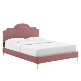 Aviana Performance Velvet Queen Bed By Modway - MOD-6819 - Dusty Rose