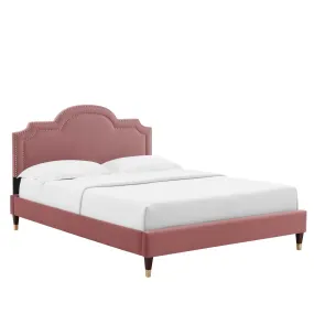 Aviana Performance Velvet Queen Bed By Modway - MOD-6824 - Dusty Rose