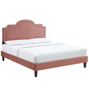 Aviana Performance Velvet Queen Bed By Modway - MOD-6829 - Dusty Rose